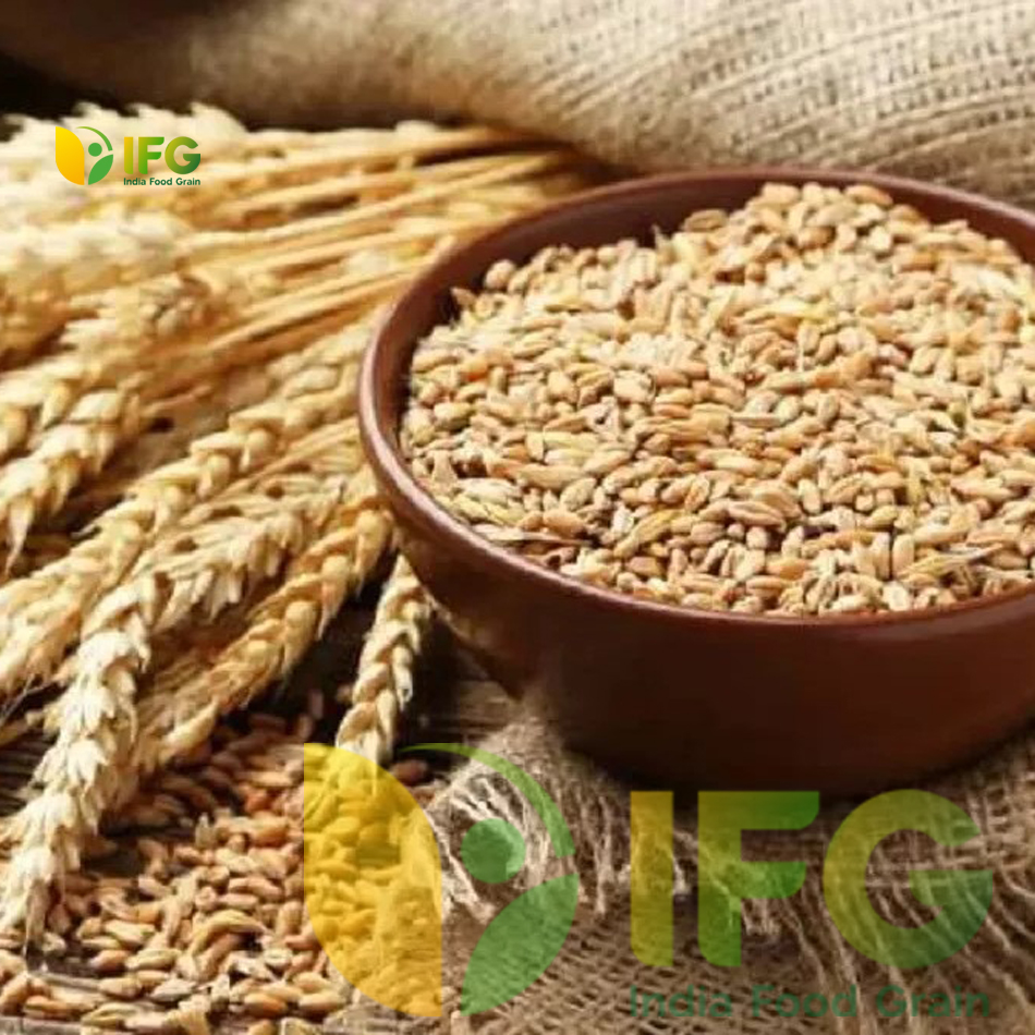 Wholesale Wheat Market In Delhi